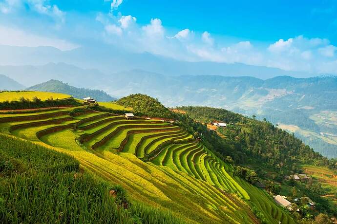 FB_IMG_1647614183742