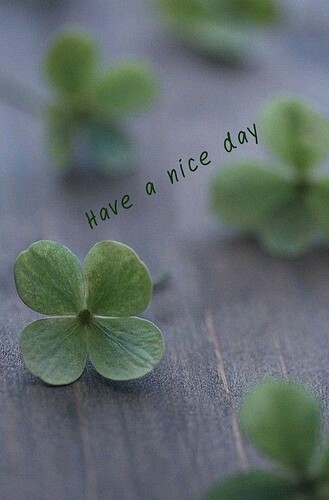 660a2d1328b096523a69015bd98ffcb2