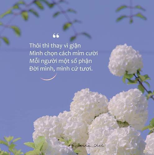 FB_IMG_1650992041403