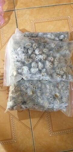 16591502853007587712710518656987