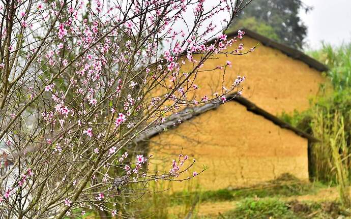 FB_IMG_1671613914519