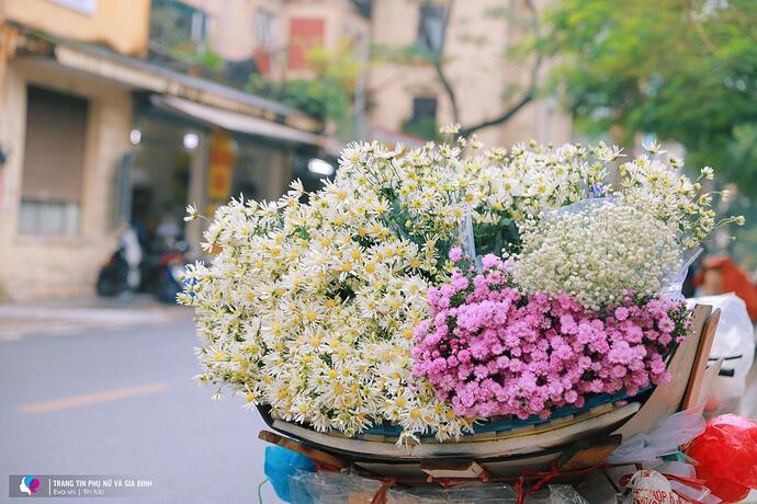 grab97b561635822720929_1635822180036_1635743368_427_cuc_hoa_mi_11_1635743012_511_width1500height1000_1635743368_width1500height1000