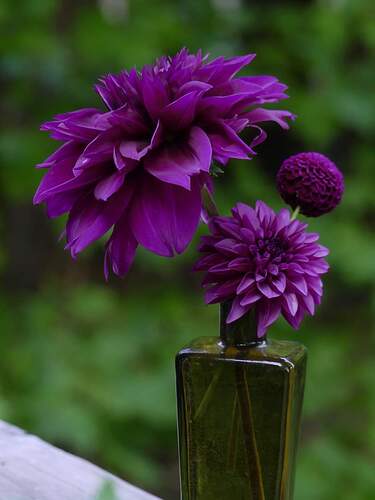 FB_IMG_1663379230996