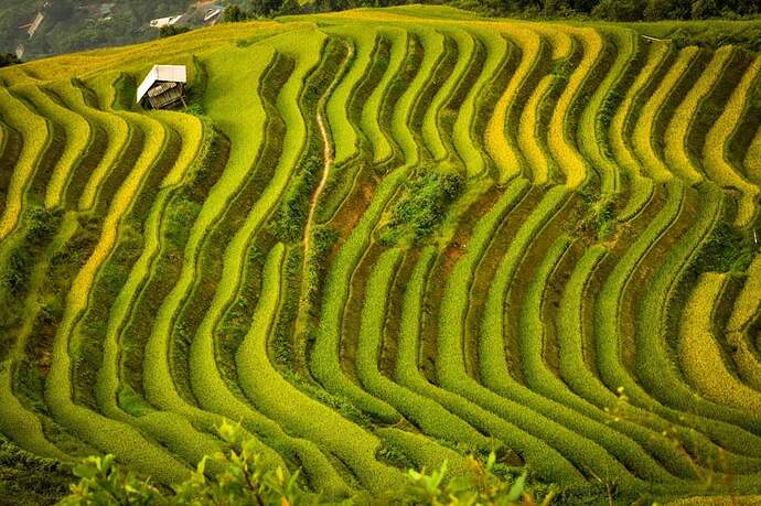 FB_IMG_1652693094258