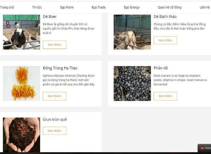 70bcbffc6bb7a0e9f9a6