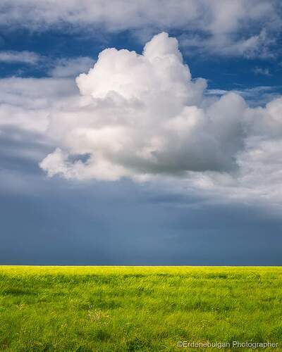 FB_IMG_1645806198112