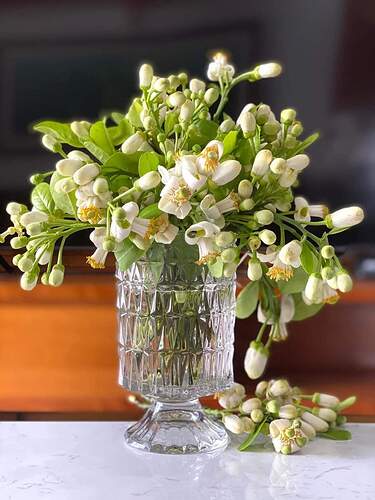 FB_IMG_1647226785581