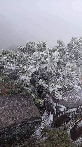 FB_IMG_1645362277085