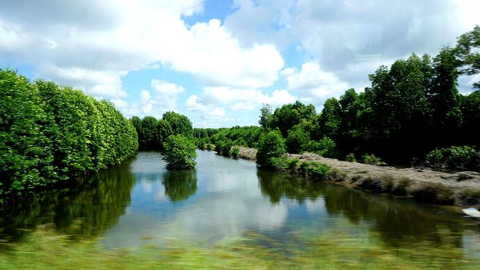 soan-bai-song-nuoc-ca-mau-doan-gioi