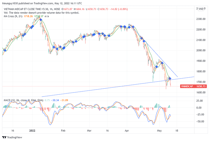 VNMIDCAP_2022-05-12_23-11-01