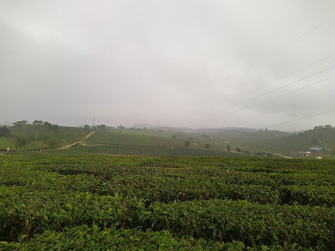 IMG_20221111_172943_3