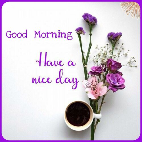 3c87878d539acbbbd19e68cb5912cd56