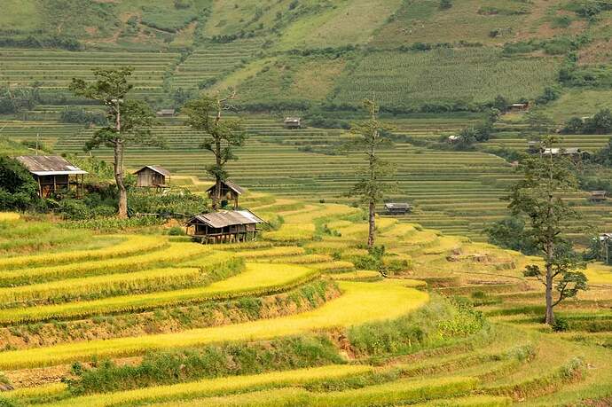 FB_IMG_1647614365116