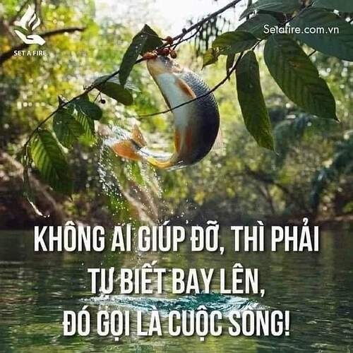 FB_IMG_1649593352792