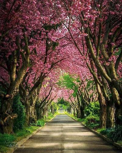 FB_IMG_1640448620660