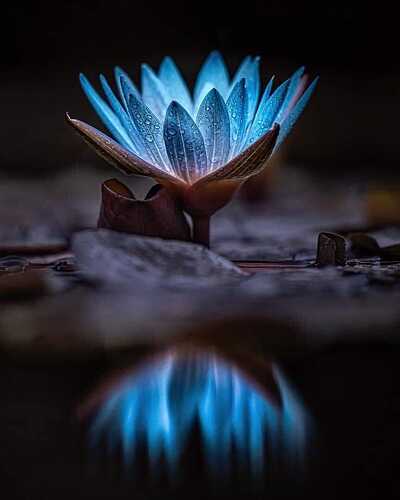 281739224_5529867027046380_1203424487021683166_n