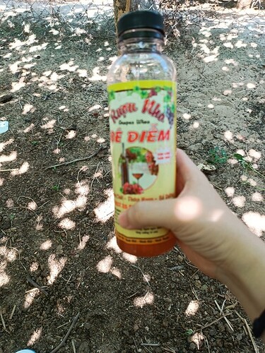 inbound4810328788807668976