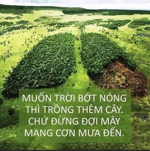 FB_IMG_1652354762812