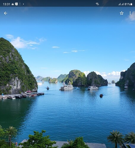 Screenshot_20220803-133110_Photos