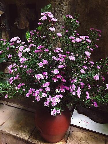 296719414_1449304325543940_2520438582040885220_n