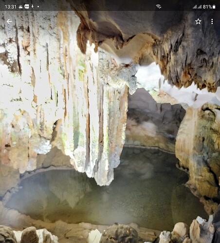 Screenshot_20220803-133100_Photos