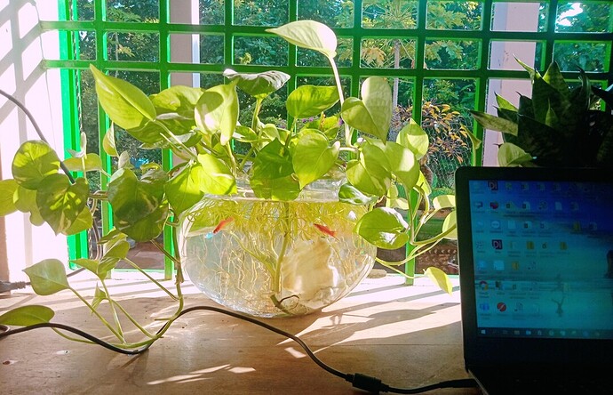 IMG20210823073414_mh1629982807103