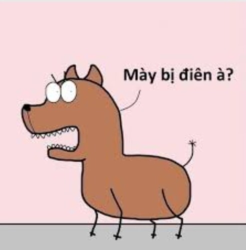 Screenshot_2022-08-05-21-37-28-467_com.android.chrome