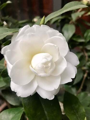 FB_IMG_1644054093009