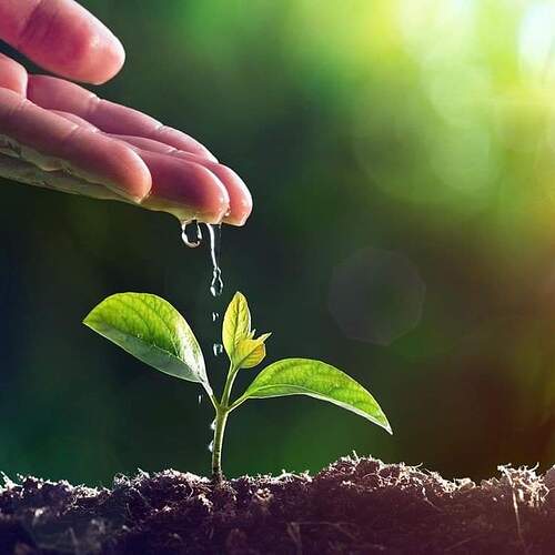 FB_IMG_1649484895548