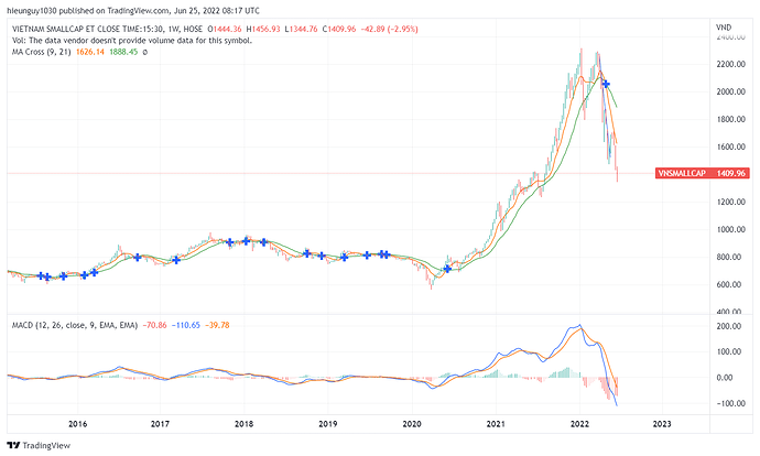 VNSMALLCAP_2022-06-25_15-17-45