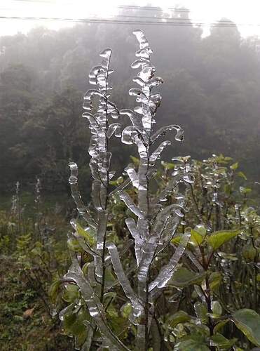 FB_IMG_1645362281611