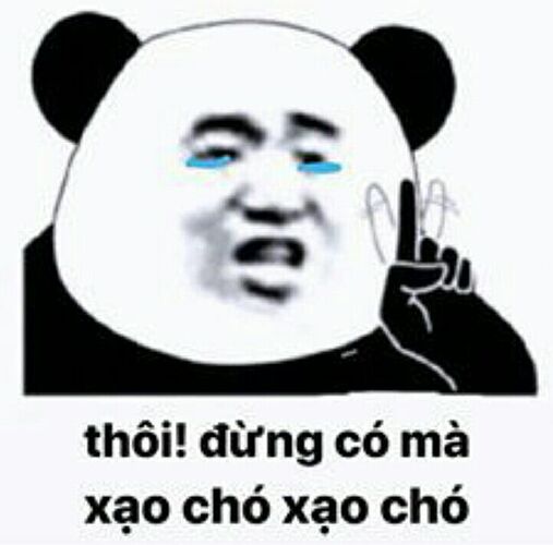 anh-meme-gau-truc-dung-xao-cho