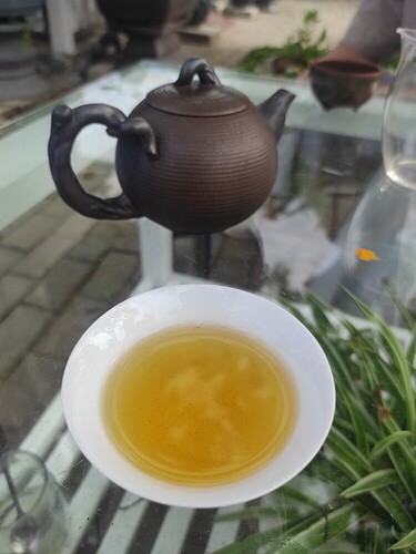 16490360082907546991886171224493