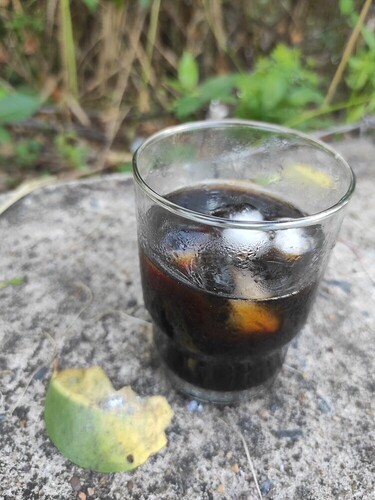 16493778028881368900168009107179