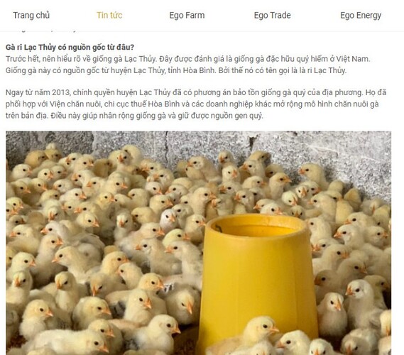 545658c33789fcd7a598