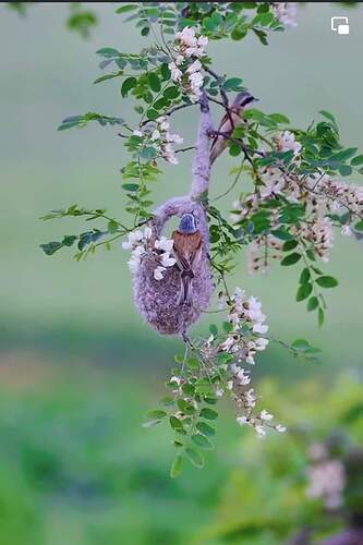 FB_IMG_1652174825900