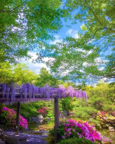 FB_IMG_1638223934580