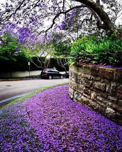 FB_IMG_1638374412010