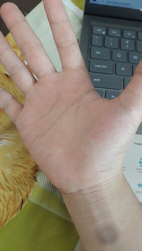 3b904d097759bb07e248