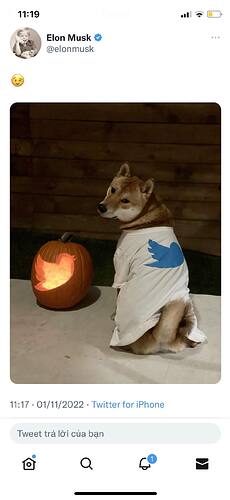 313868288_1490006321423162_873501181940532695_n