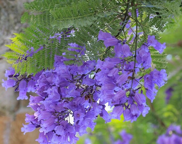 Screenshot_20220107-055401_Chrome