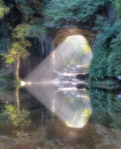 download_20211116_192608