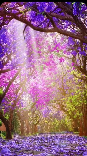 efeaa4e2ff98fea8dd66c696ddcee2a3