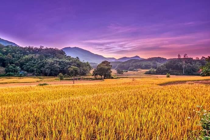 FB_IMG_1648771534140