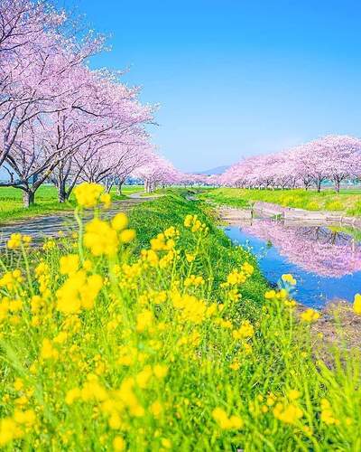 FB_IMG_1636020404307