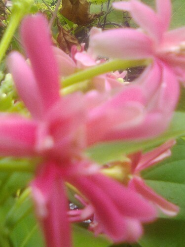 IMG_20220627_155437_042