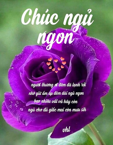 Screenshot_20220320_215141