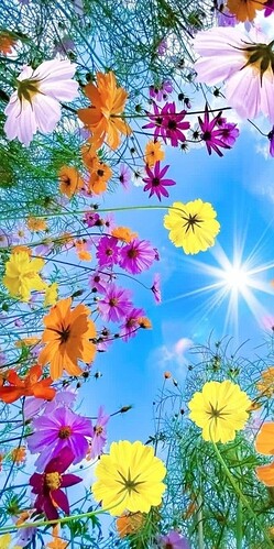 d2d265cd9125b0b647239b3886bf085b