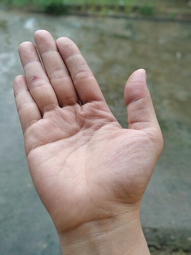 inbound3991368427656658318