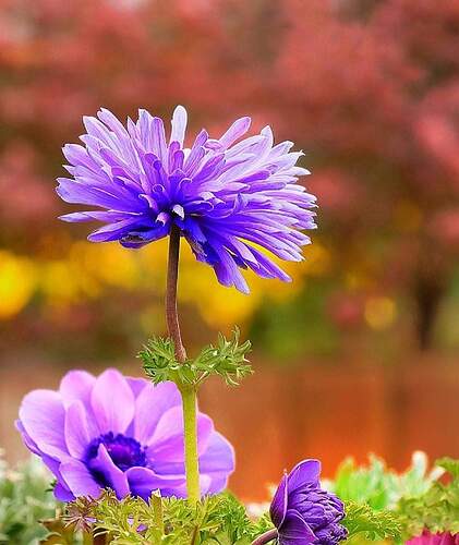 FB_IMG_1645535134602